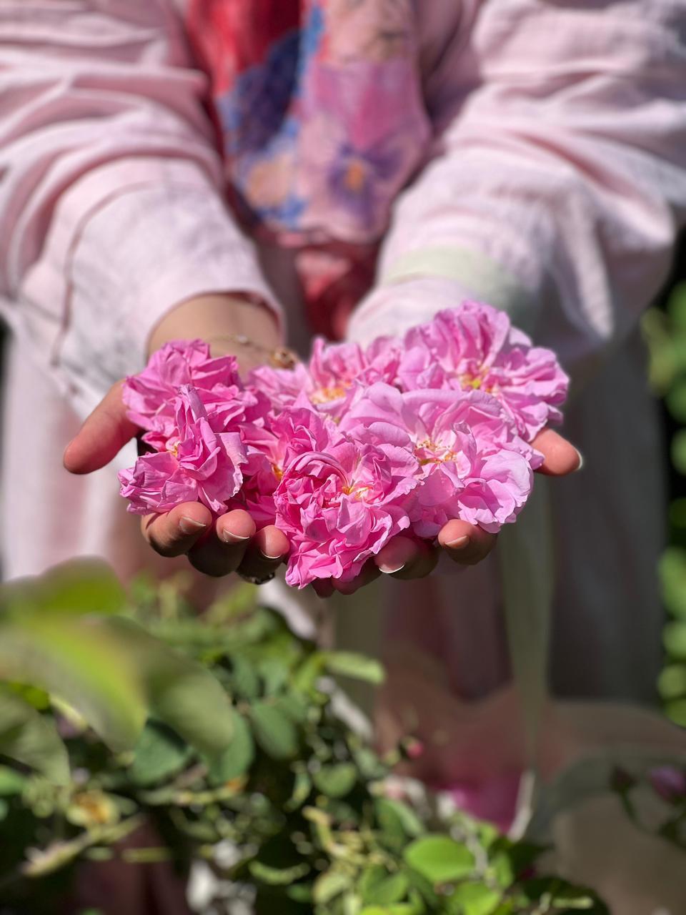 Wisdom of Roses Women's Retreat - Showcase 1